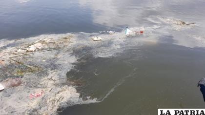 El aceite está contaminando tanto el lago y está avanzando hacia el río /RR.SS.