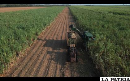 La CAO destaca la importancia de fortalecer a los productores de alimentos en el país 
/CAO