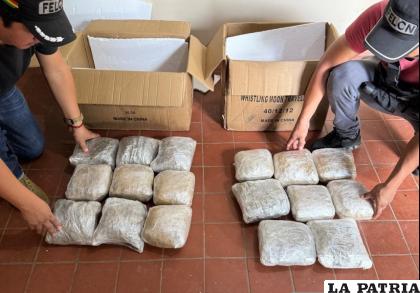 Autoridades incautaron cajas que contenían marihuana en almacenes fronterizos /Felcn