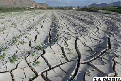 La OMM precisó que los últimos nueve años fueron los más cálidos registrados hasta ahora /EFE