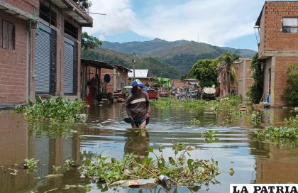 Cerca de 480 familias se vieron damnificadas por las intensas lluvias 
/SomosTipuaneños