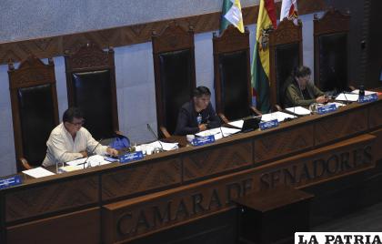El senado efectuó una sesión con el quórum necesario /APG