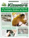 Ecológico Kiswara