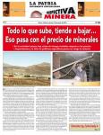 Perspectiva Minera