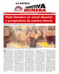 Perspectiva Minera