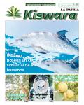 Ecológico Kiswara