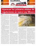 Perspectiva Minera