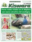 Ecológico Kiswara