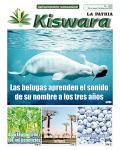 Ecológico Kiswara