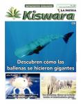 Ecológico Kiswara