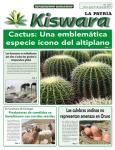 Ecológico Kiswara