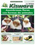 Ecológico Kiswara