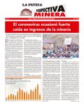 Perspectiva Minera