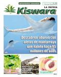 Ecológico Kiswara