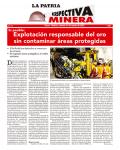 Perspectiva Minera