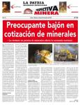 Perspectiva Minera