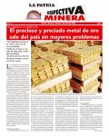 Perspectiva Minera