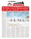 Perspectiva Minera
