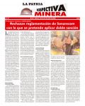 Perspectiva Minera
