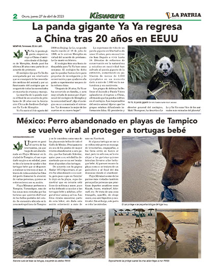 Portada Principal