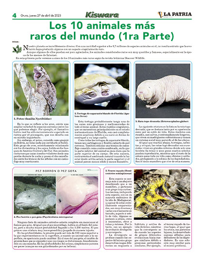 Portada Principal