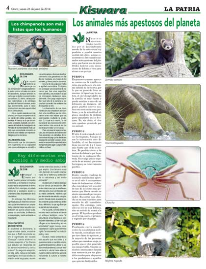Preescolar apoyo pintar Hay diferencias entre ecología y medio ambiente - Periódico La Patria  (Oruro - Bolivia)