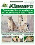 Ecológico Kiswara