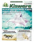 Ecológico Kiswara