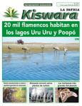 Ecológico Kiswara