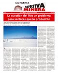 Perspectiva Minera