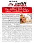 Perspectiva Minera