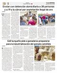 Separata Especial