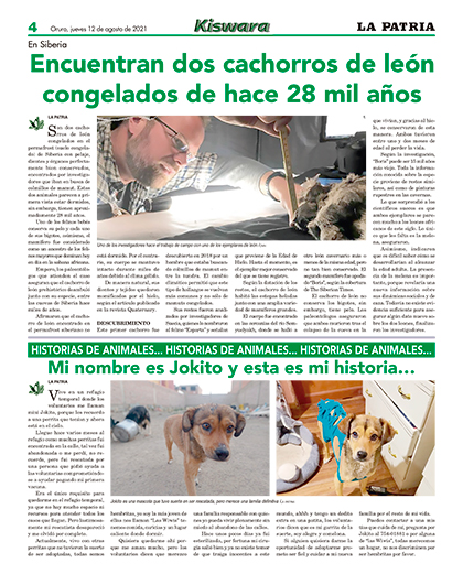 Portada Principal