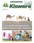 Ecológico Kiswara