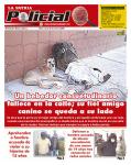 Policial