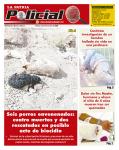 Policial