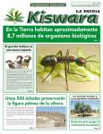 Ecológico Kiswara