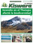 Ecológico Kiswara