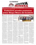 Perspectiva Minera