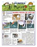 Separata Especial