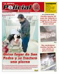 Policial