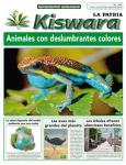 Ecológico Kiswara