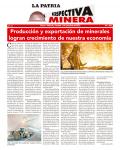 Perspectiva Minera
