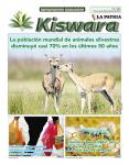 Ecológico Kiswara