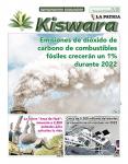 Ecológico Kiswara