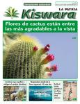 Ecológico Kiswara