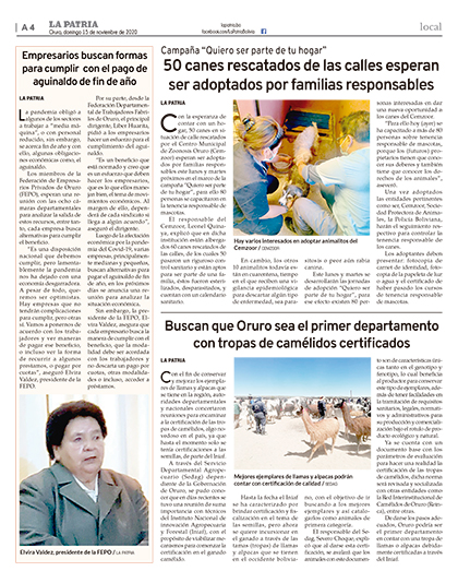 Portada Principal