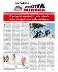 Perspectiva Minera