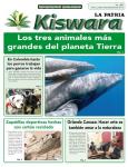 Ecológico Kiswara