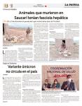 Separata Especial